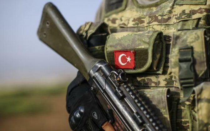 Türkiyə ordusu daha iki terrorçunu zərərsizləşdirdi