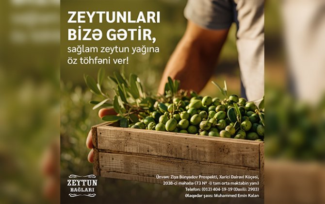 “Azərsun Holdinq” zeytun qəbuluna start verdi