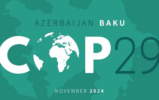 “COP29 tribunasından “müharibəyə son” çağırışı Azərbaycanın sülhpərvər mahiyyətinin göstəricisidir”