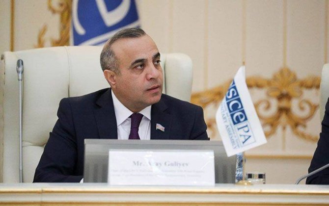 Azay Quliyev ATƏT missiyasının xüsusi koordinatoru və rəhbəri təyin olundu