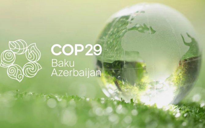 Стала известна позиция Украины на COP29 в Баку