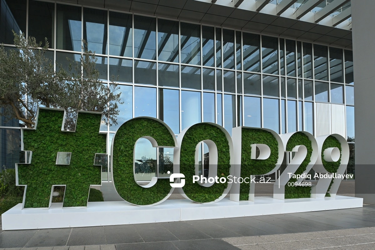 Объявлена программа мероприятий, которые пройдут в рамках COP29