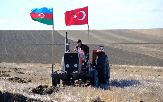 Türkiyəli fermer Azərbaycanın Zəfər Gününü belə TƏBRİK ETDİ 