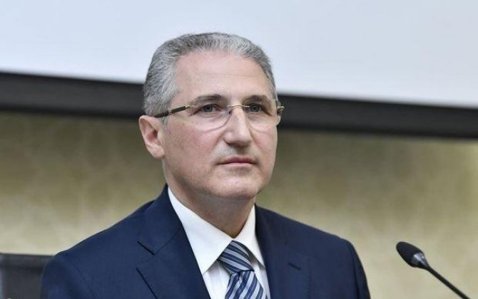 COP29 prezidentinin ilk çıxışı: 