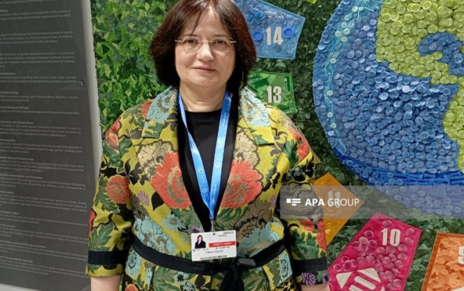 Türkiyə nümayəndə heyəti COP29-da iqlim hədəflərini açıqlayacaq