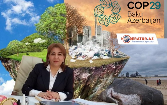 “Heç bir heyvan intihar etmir, onları biz məhv edirik, leşləri sahilə çıxır”-Ekoloqdan ÇAĞIRIŞ-ÖZƏL