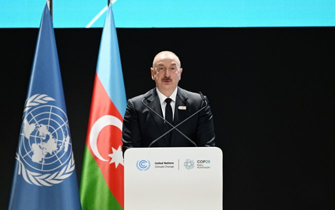 “Kiçik ada dövlətlər öz səsini dünyaya ilk dəfə Azərbaycanın sayəsində - COP29-da çatdırmış oldu”