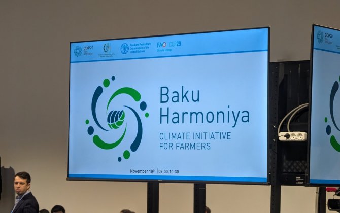 В рамках COP29 проходит мероприятие по запуску климатической инициативы 