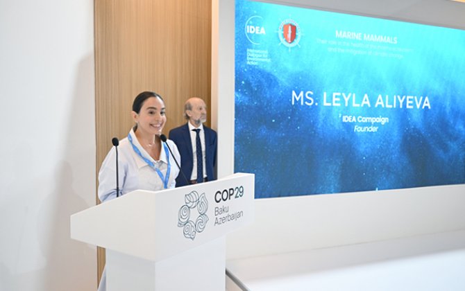 Leyla Əliyeva COP29 çərçivəsində müzakirələrdə iştirak etdi