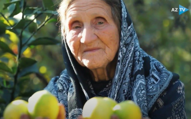 “Mənə “metirka” almadılar ki, öləcəm…” – Göyçaydan olan nənə AzTV-yə danışdı – VİDEO