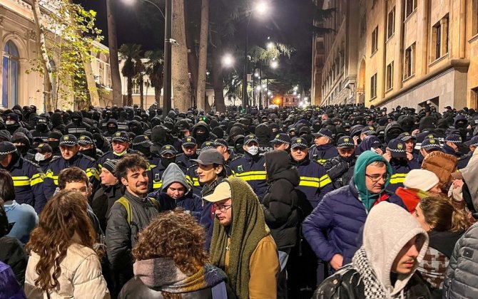 В Тбилиси у здания парламента начались столкновения митингующих с полицией