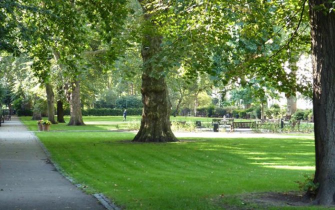 Azad edilmiş ərazilərdə yeni milli park yaradılacaq