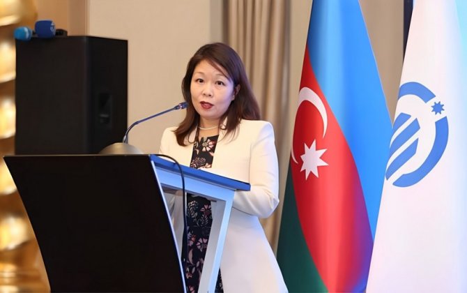 BMT: Azərbaycan azad olunmuş ərazilərdə minatəmizləmə və yenidənqurma işlərində irəliləyiş əldə edib