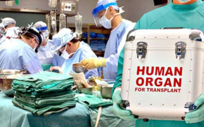 Səhiyyə Nazirliyi: Ölümündən sonra orqanlarını bağışlamaq istəyən şəxslərin sayı 3 dəfə artıb