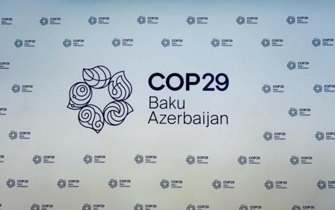 COP29 ərəfəsində dünyanın 200-ə yaxın nəzarətdə olan media qurumu... - Hesabat