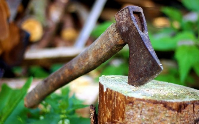Kürdəmir sakini Ağadadaş Ağayevin baltalı hücumunu təkrarladı – Məşhur teleaparıcının komandası ÖLÜMDƏN DÖNÜB