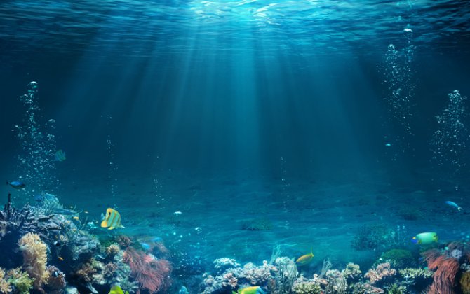 Hansı canlılar Yer kürəsində uzun illər yaşayır?- Nəhəng Tısbağalar, Qrelandiya köpəkbalığı- 5000 il... 