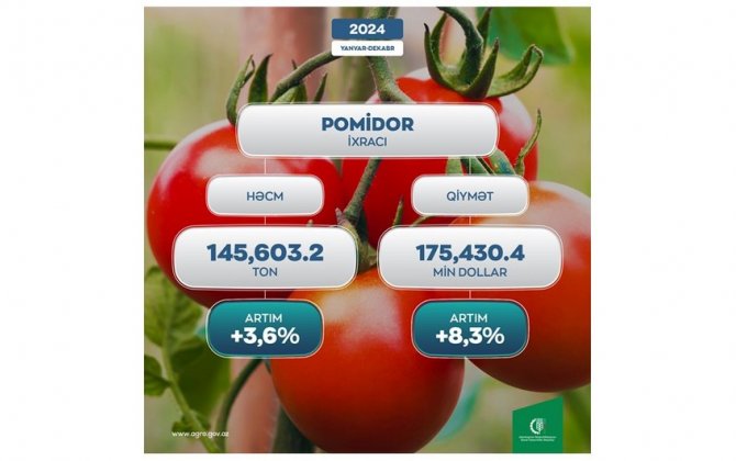 Азербайджан увеличил доходы от экспорта томатов более чем на 8%