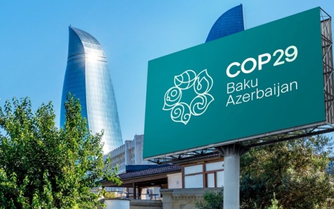 COP29 könüllülərinə xüsusi pul mükafatı ayrıldı