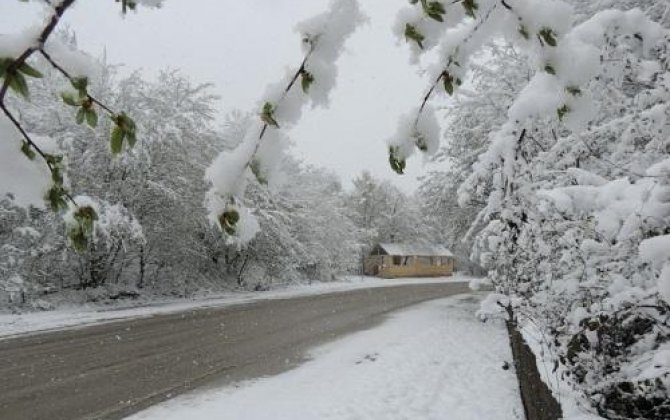 Hava ilə bağlı xəbərdarlıq: Sabahdan...