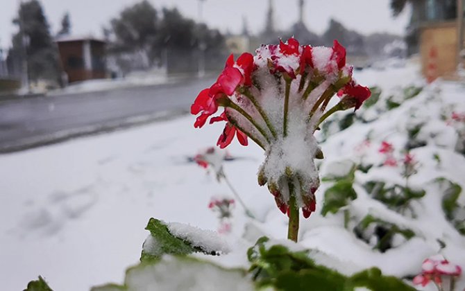 Dağlıq rayonlarda qar yağıb, 15 dərəcə şaxta olub - FAKTİKİ HAVA