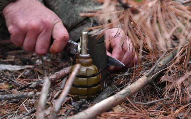 В Агджабеди пять человек погибли из-за взрыва ручной гранаты 