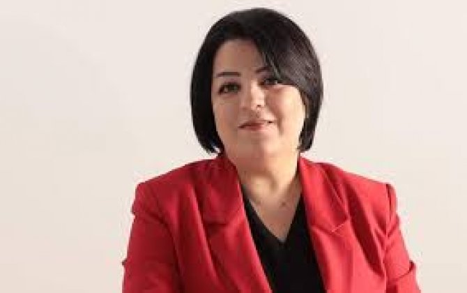 Şahnaz Bəylərqızı barəsində həbs qərarı verildi