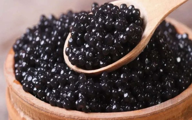 Azərbaycanın qara kürü ixracından gəlirləri kəskin artdı