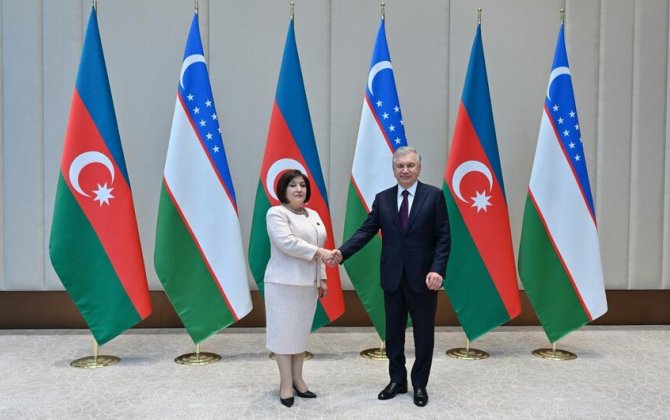 Sahibə Qafarova Özbəkistan Prezidenti ilə görüşdüFOTO