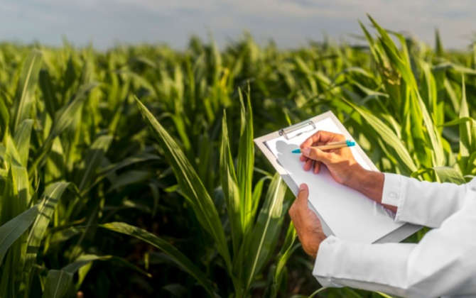 “Orada bir nəfər də olsun peşəkar yoxdur” — Ekspertdən Kənd Təsərrüfatı Nazirliyi ilə bağlı ŞOK AÇIQLAMA