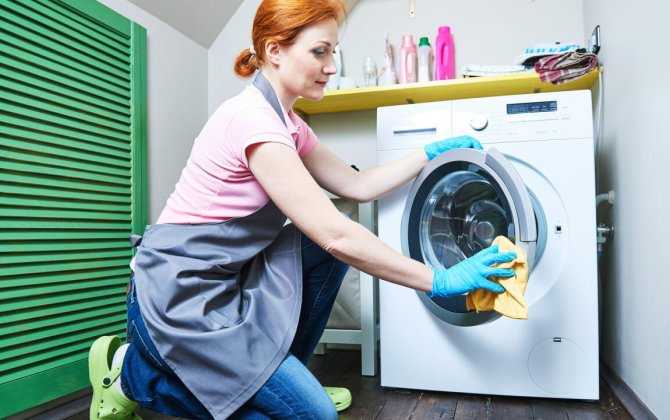 Paltaryuyana bunu qoyun - Olanlara inanmayacaqsız