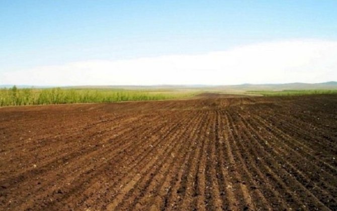 Azərbaycanda torpaq üzərində hüquqların qeydiyyatından imtina üçün hüquqi əsaslar müəyyənləşdirilir