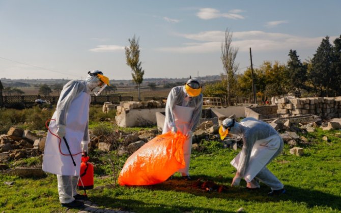 Bu ərazilərdə epizootoloji monitorinqlərxa0keçiriləcək