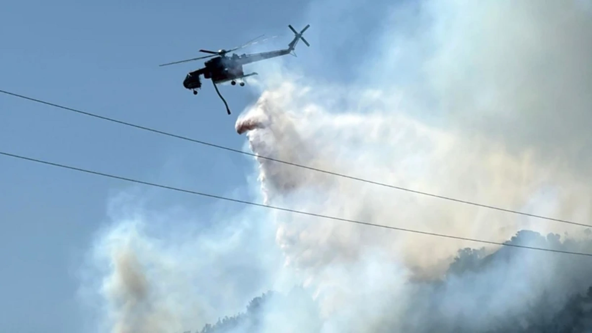Türkiyədə meşə yanğınları başlayıb - FOTO