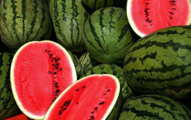 Qarpızın gizli təhlükəsi üzə çıxdı – 14 nəfər zəhərləndi, qorunmaq üçün nələrə diqqət etmək lazımdır?