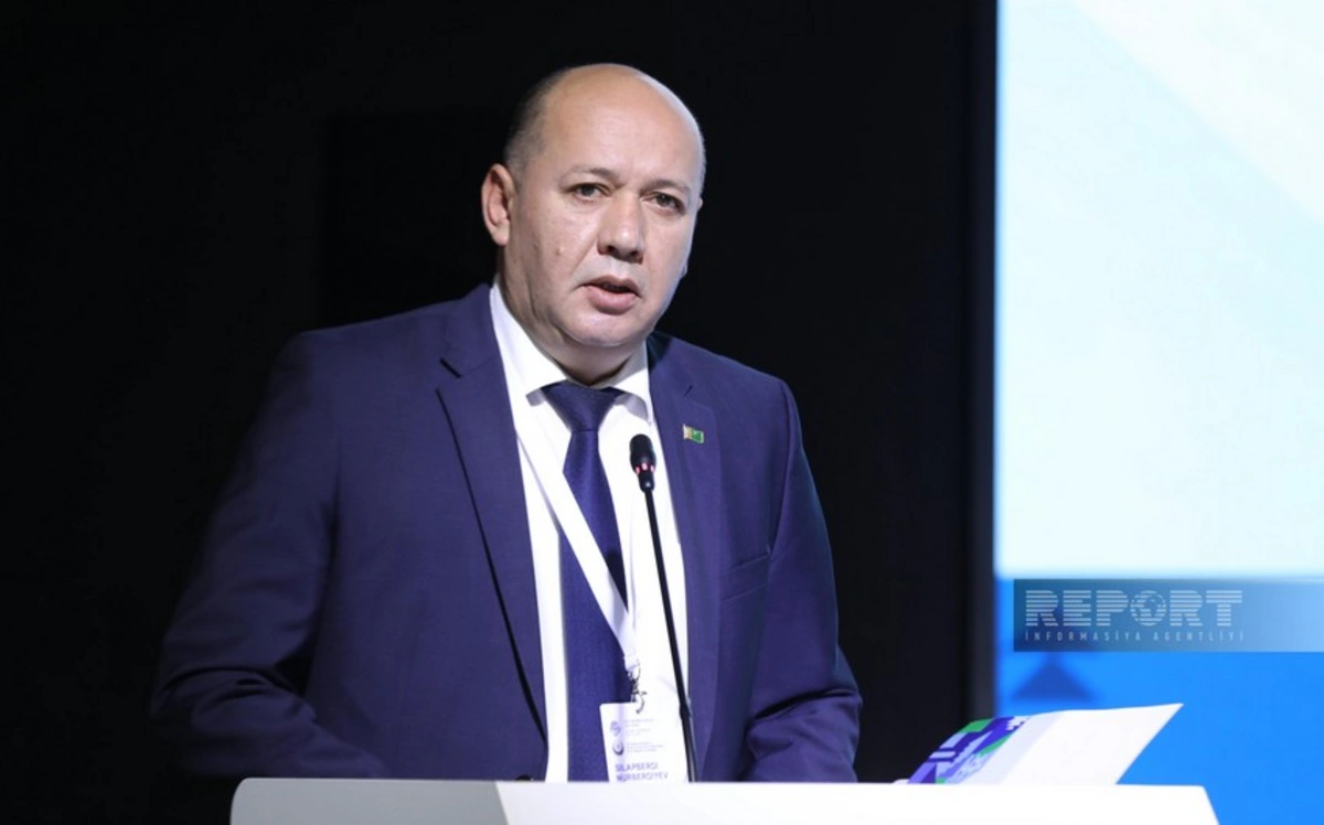 İqtisadi Əməkdaşlıq Təşkilatı qadınların texnologiya sahəsində inkişafı ilə bağlı planlar hazırlayıb