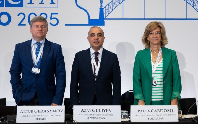 Azay Quliyev ATƏT PA-nın Komitə sədri seçilib