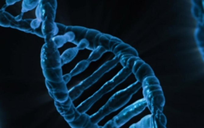 Qafqazın genetik sirri: Niyə bu insanlar 100 yaşı keçir? – Elmi araşdırma