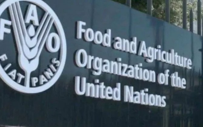 Özbəkistan ilk dəfə FAO Şurasına üzv seçilib