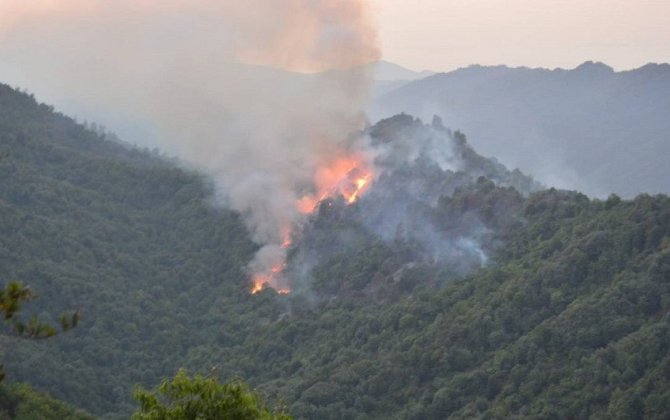 Laçında dağlıq ərazidə yanğın başlayıb