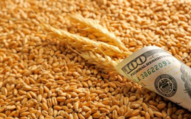 Azərbaycan buğda idxalını kəskin artırdı – Yerli istehsal niyə yetmir? -xa0 Müsahibə