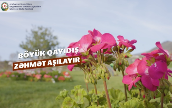 Böyük Qayıdış zəhmət aşılayır -xa0VİDEO