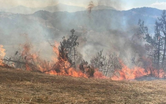Cəlilabadda yanğın törədən şəxs məsuliyyətə cəlb olundu