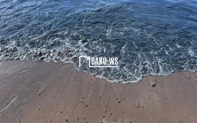 Türkan sahilində QƏRİBƏ MƏNZƏRƏ - VİDEO