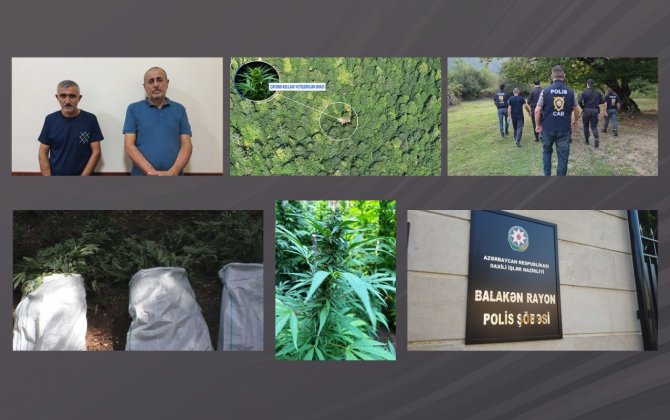 Polis dağlarda əməliyyat keçirdi, silahlı şəxslər tutuldu - VİDEO