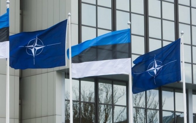 НАТО и Эстония подтвердили приверженность поддержке Украины и укреплению обороны альянса