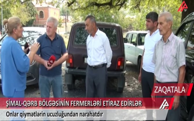 Zaqatalada fermerlər ETİRAZA QALXDI - VİDEO