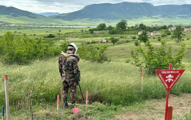 В Газахе за 8 месяцев разминировано 122 га