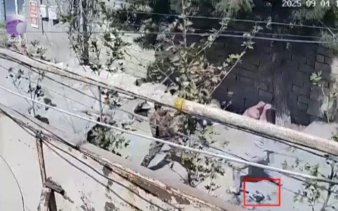 В Абшеронском районе массовый конфликт из-за двери закончился госпитализацией