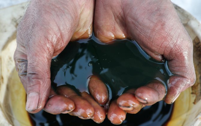 Власти Индии заявили, что продолжат закупки российской нефти